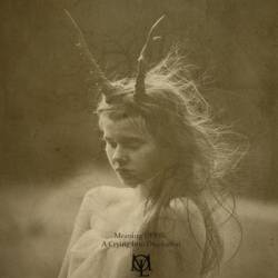 Meaning Of Life : A Crying into Desolation